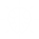 brain icon